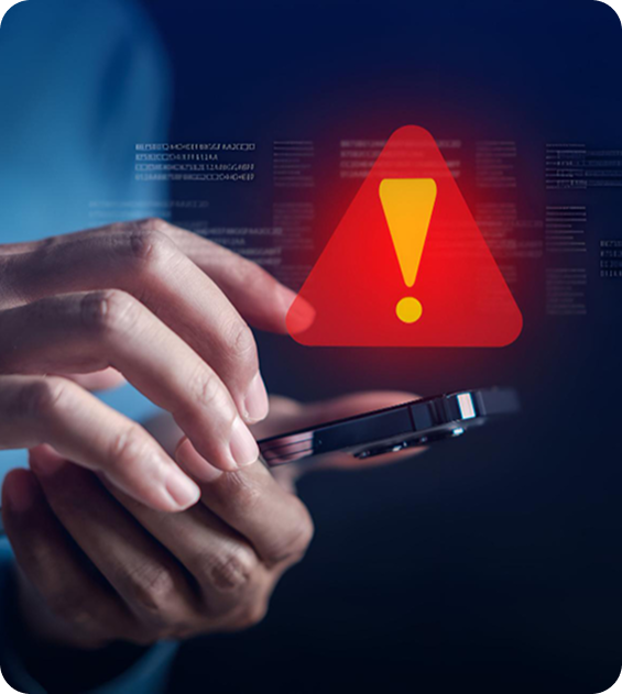 Fraud and dispute handling