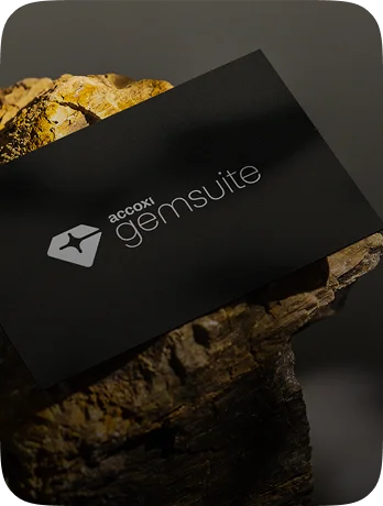 gemsuiteframe