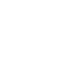 Fraud & Dispute  Support